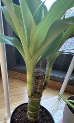 IMG_5962.jpeg