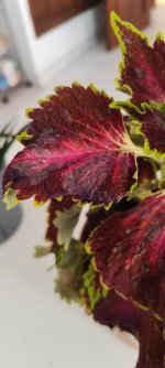 d739b1fa-3c4b-4ee9-85ef-89ed4a102d71.jpeg