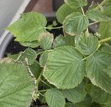 IMG_8928.jpeg