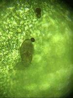 IMG_8335.jpeg