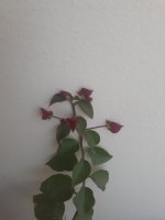 20250504_104854.jpg