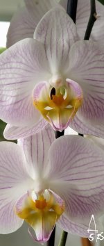 IMG_20250515_090353~2.jpg
