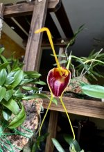IMG_3937.jpeg