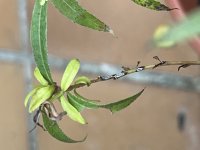 IMG_2461.jpeg