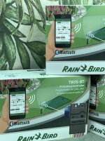 IMG_7417.jpeg