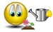 1750147796116.gif