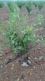 Adobe Express - file (1).jpg