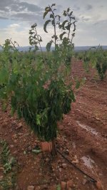 Adobe Express - file (2).jpg