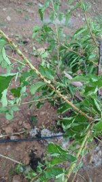 Adobe Express - file (3).jpg