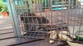 WhatsApp Image 2025-07-30 at 18.53.33.jpeg