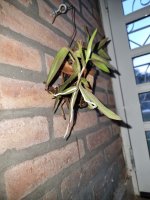 WhatsApp Image 2025-08-04 at 06.57.32 (1).jpeg