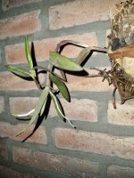 WhatsApp Image 2025-08-04 at 06.57.32.jpeg