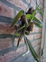 WhatsApp Image 2025-08-04 at 06.57.31.jpeg