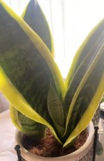 IMG_3468.jpeg