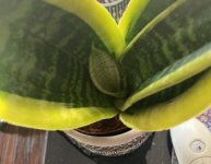IMG_3469.jpeg