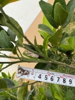 Imagen de WhatsApp 2025-08-07 a las 07.45.20_5748b982.jpg