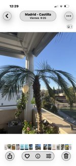 IMG_2173.jpeg