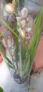 IMG_20251218_104047_1.jpg