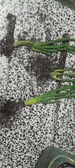 WhatsApp Image 2026-01-30 at 9.39.20 PM (1).jpeg