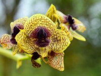 Diseño sin título (18).jpg