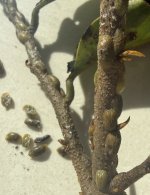 IMG_1761.jpeg
