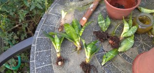 IMG_20260215_120914_1 (1).jpg