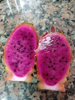 Pitayas Desert King, mitades (17.02.26) 1.jpg