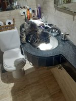 MONCHO (1).jpg