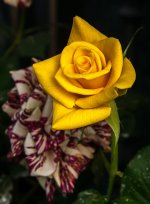 22042026-003.jpg
