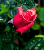 25042026-003-2.jpg