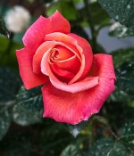 26042026-005.jpg