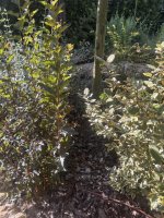 IMG_2778.jpeg