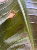 IMG_6587.jpeg
