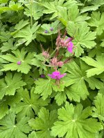 IMG_9823-min.jpeg