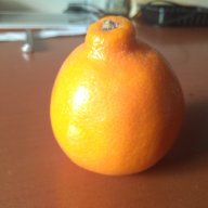 Zulobi