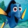Dori