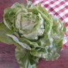 Paquito Lechuga